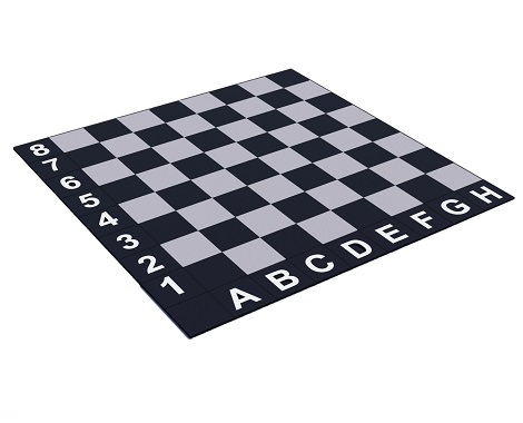 61510 - 01 Rubber Tile Garden Chess Game Set (Standard Series / Black-Grey) 